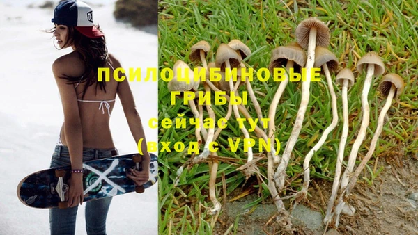 дмт Алзамай