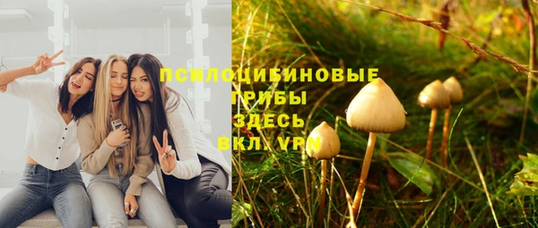 экстази Алексин