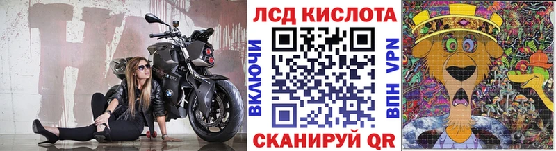 Марки N-bome 1,5мг Елец